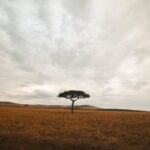La tribu que cambió nuestra mirada: cuando África se convierte en el aula definitiva para los hijos