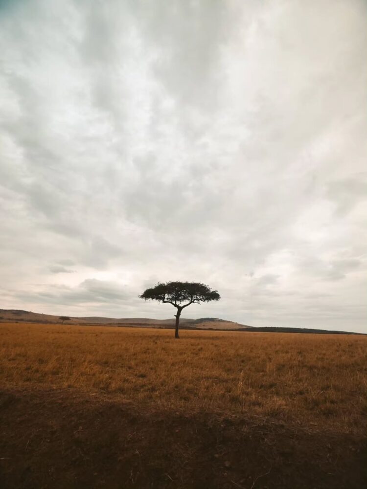 La tribu que cambió nuestra mirada: cuando África se convierte en el aula definitiva para los hijos