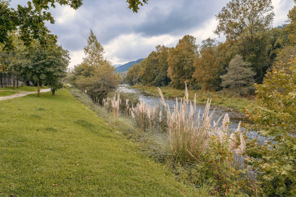 La vía verde del Besaya: el murmullo del agua que vertebra la Cantabria más serena