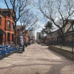 Hamilton: La metamorfosis de la Ciudad del Acero y sus tesoros naturales
