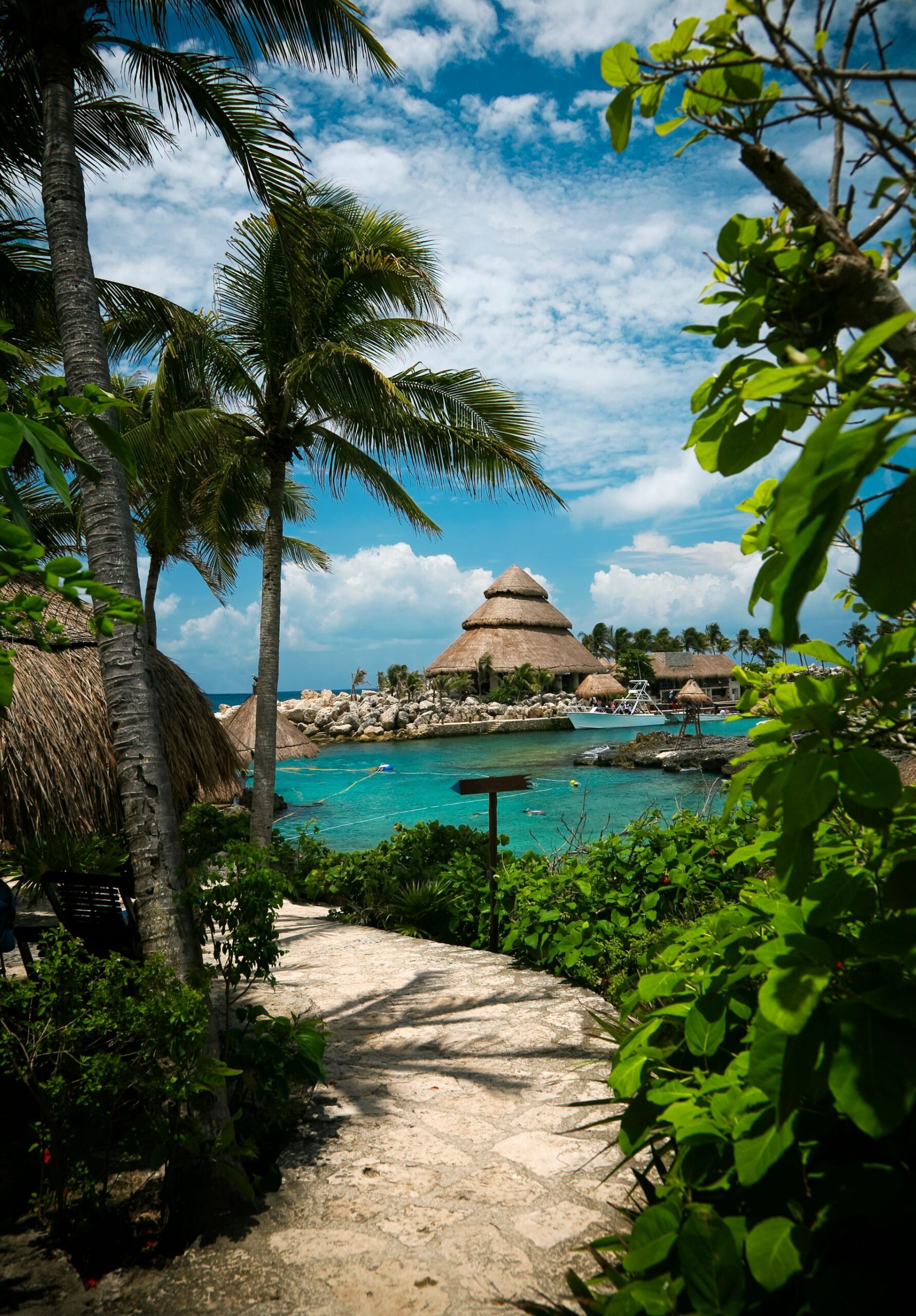 El Renacimiento del Ecoturismo en la Riviera Maya: Más Allá del Descuento