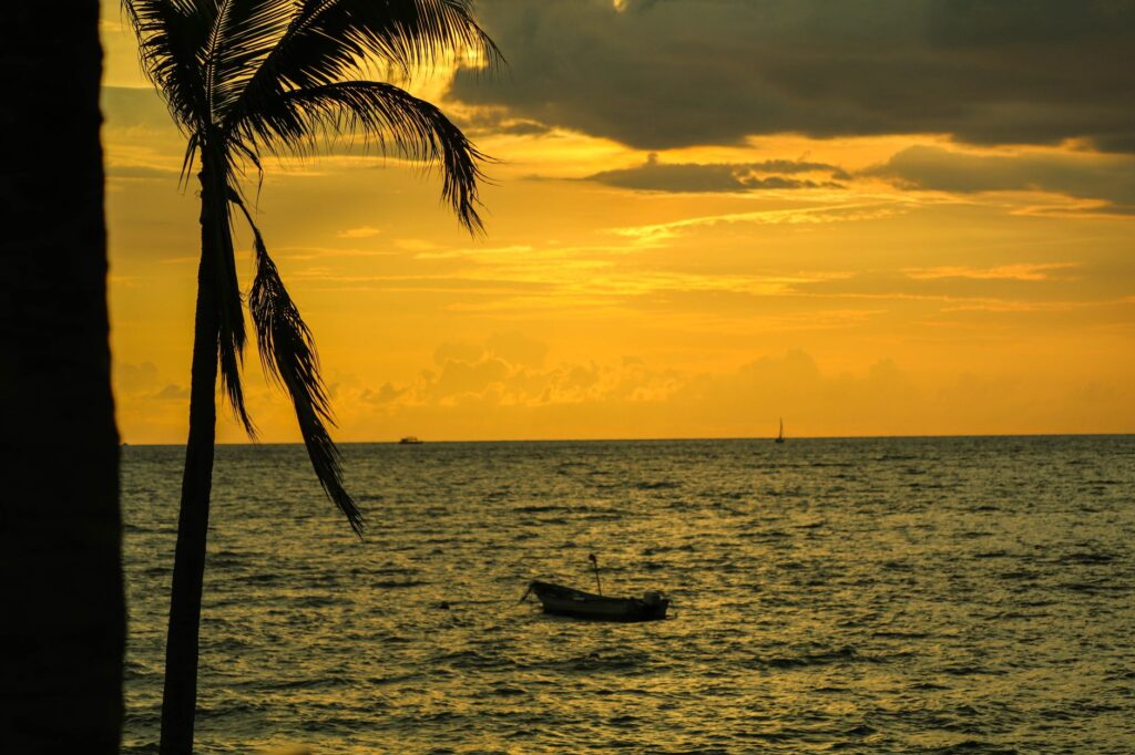 Puerto Vallarta en la vanguardia global del turismo médico para 2026