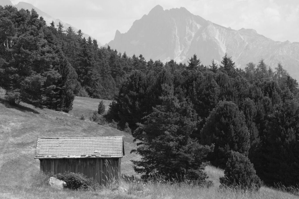 Los Gigantes de Piedra de los Dolomiti di Sesto: Geología, Alta Ruta y Sostenibilidad Alpina