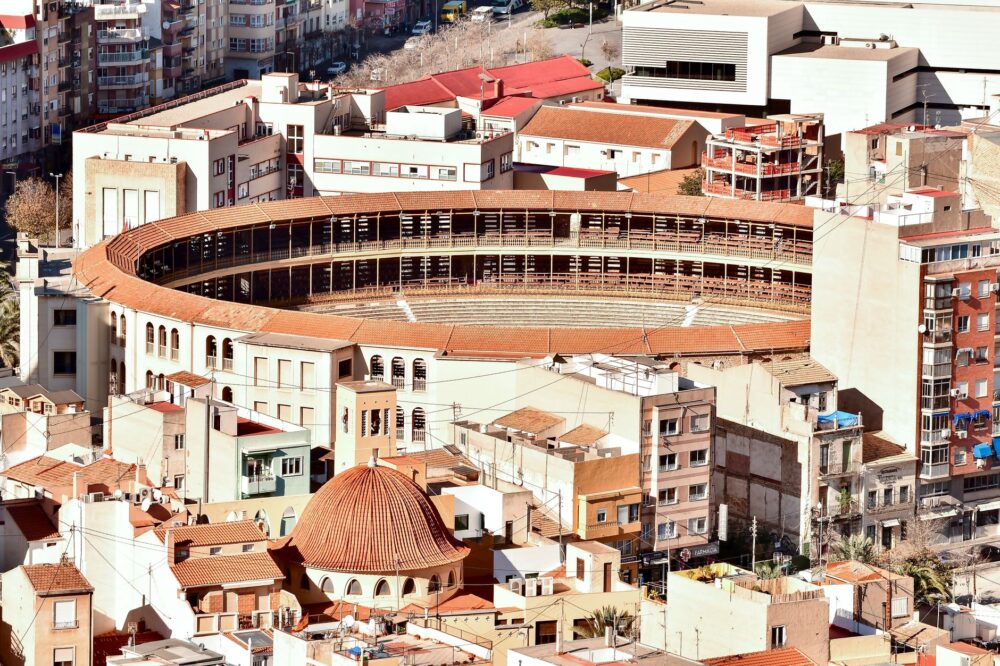 El secreto del trigo y la marea: la liturgia del Mercado Central de Alicante y los tesoros de la Marina Alta
