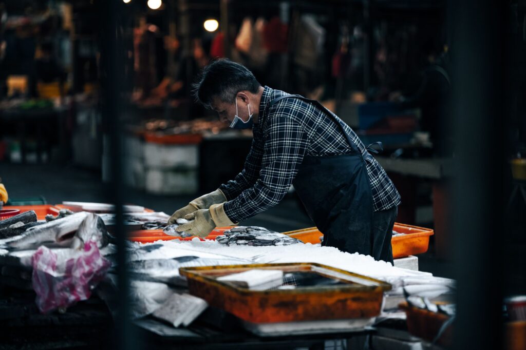 El secreto de la piedra y el estuario: la liturgia del Mercado Central de Santander y los tesoros de la Bahía