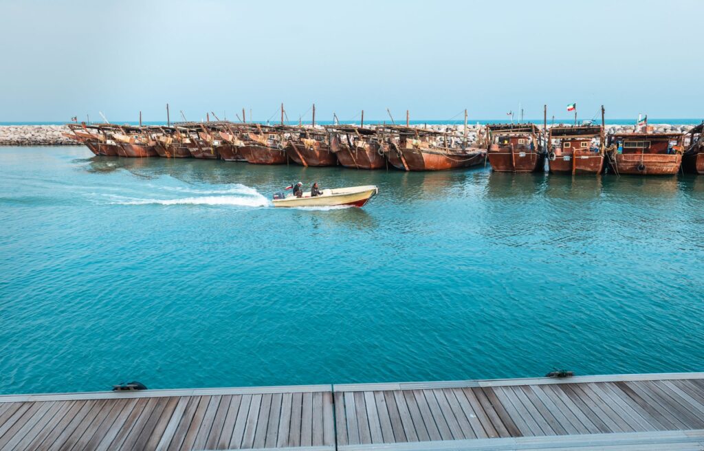 El pulso submarino de la isla de Socotra: corales endémicos, afloramientos y conservación en el mar Arábigo