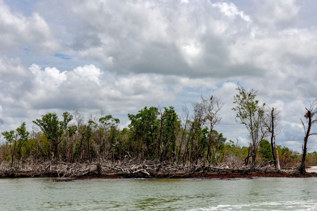 El silencio milenario del Archipiélago de las Perlas: navegación a vela y el pulso insular en el Golfo de Panamá