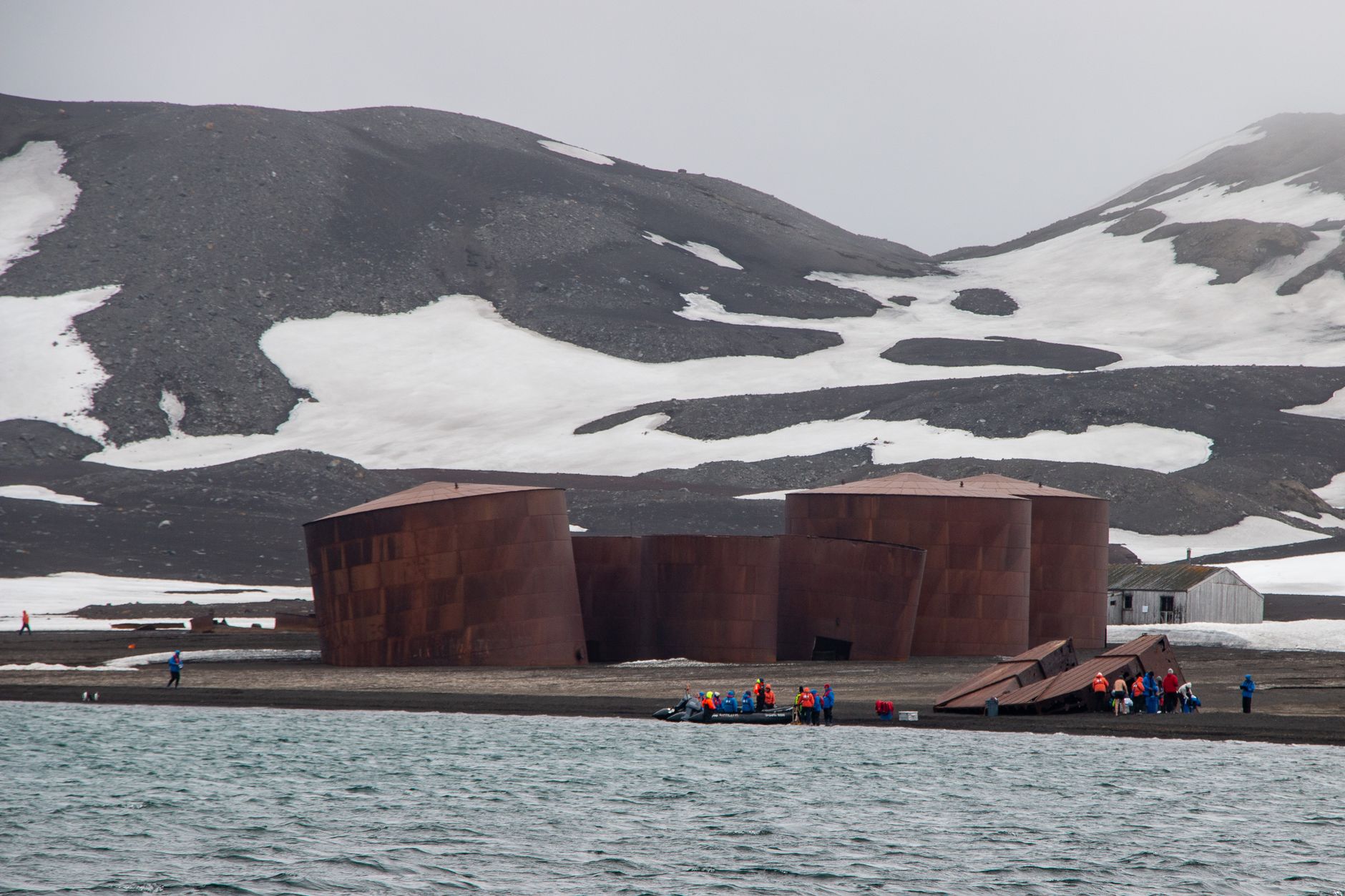 El Santuario Submarino del Mar de Weddell: Dinámicas de Banquisa, Endemismo Abisal y Conservación en las Puertas de la Antártida