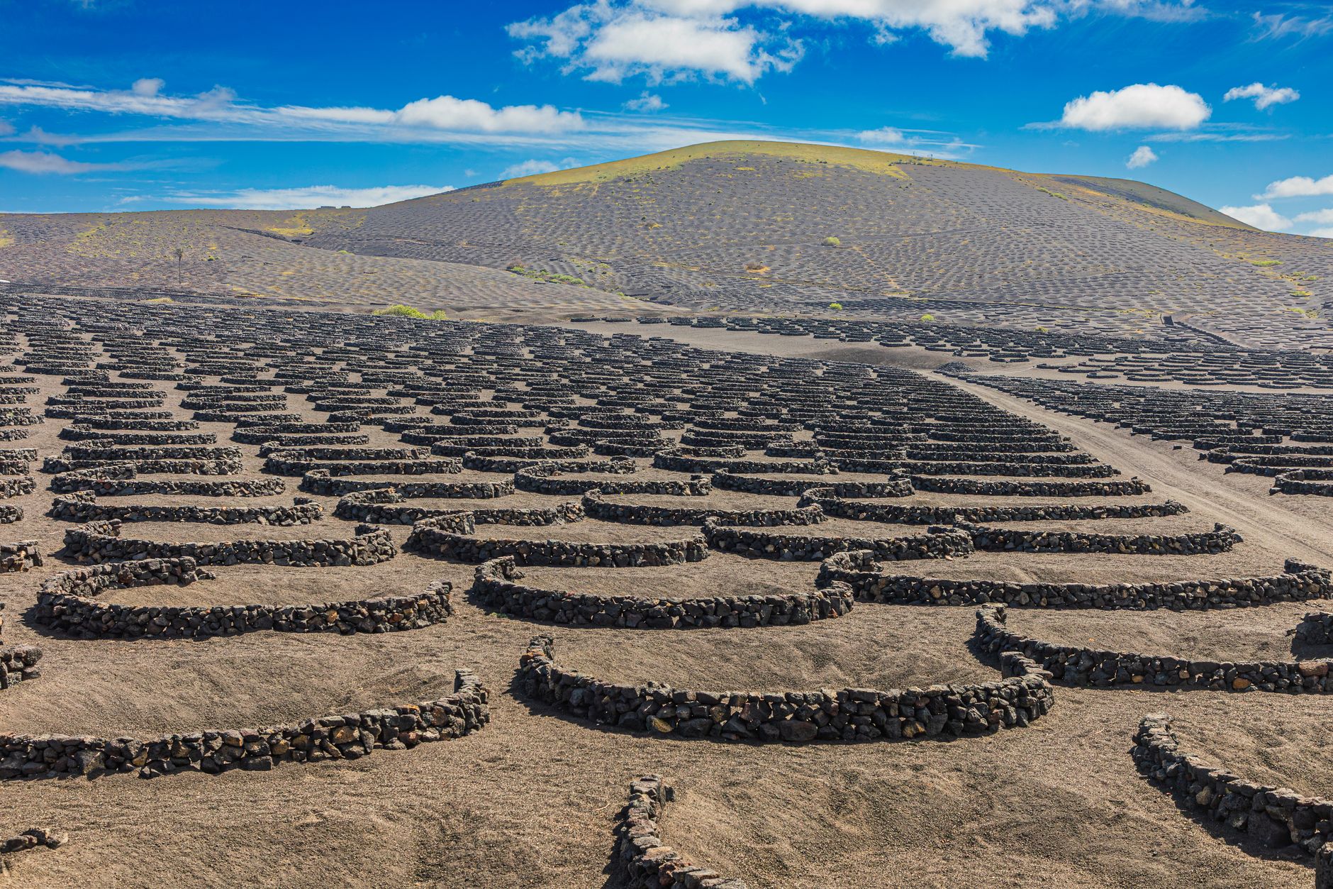 El secreto de la lava y la parra: la liturgia del Mercado Central de Lanzarote y los tesoros de Geria