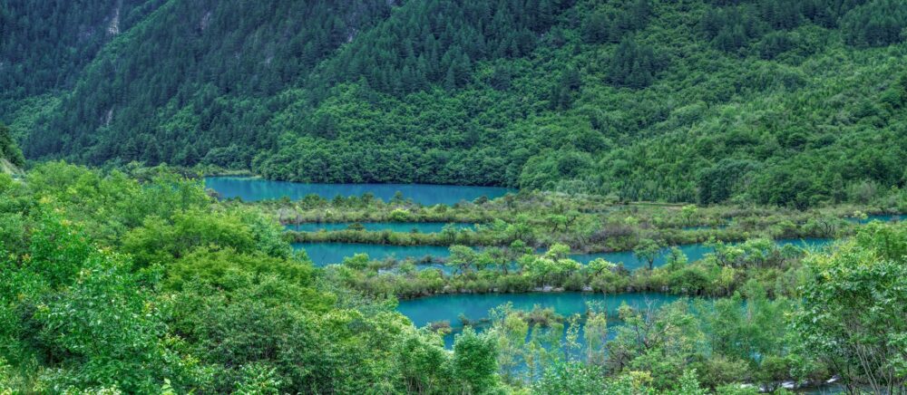 La Travesía del Sendero del Valle de Jiuzhaigou en China: Guía de Expedición y Senderismo por los Bosques de Coníferas y Lagos Esmeralda del Tíbet Oriental