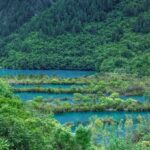La Travesía del Sendero del Valle de Jiuzhaigou en China: Guía de Expedición y Senderismo por los Bosques de Coníferas y Lagos Esmeralda del Tíbet Oriental