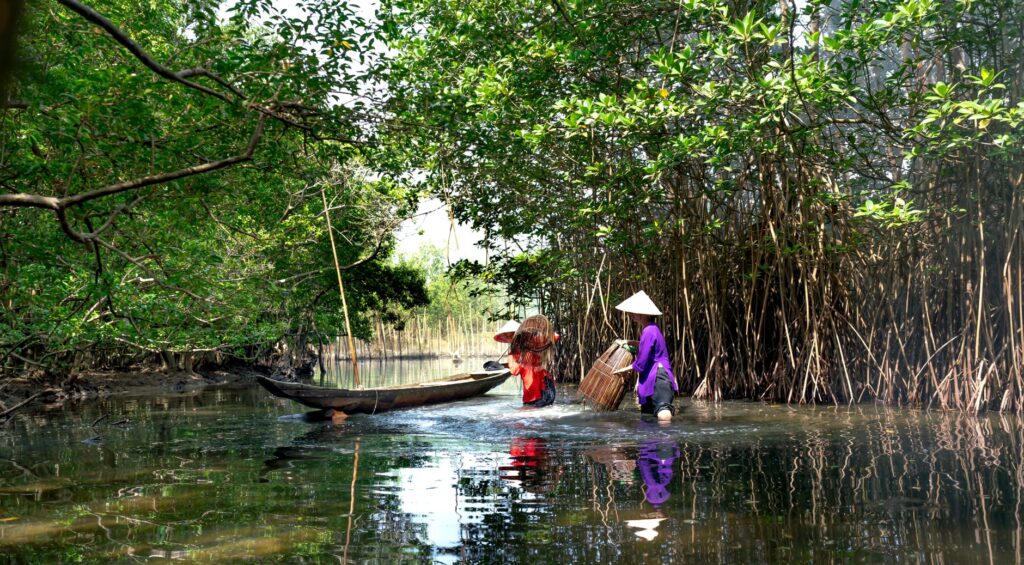 El latido meridional del archipiélago de las Bisagos: Canales de bajamar, piraguas de tronco y la conectividad insular de Guinea-Bisáu
