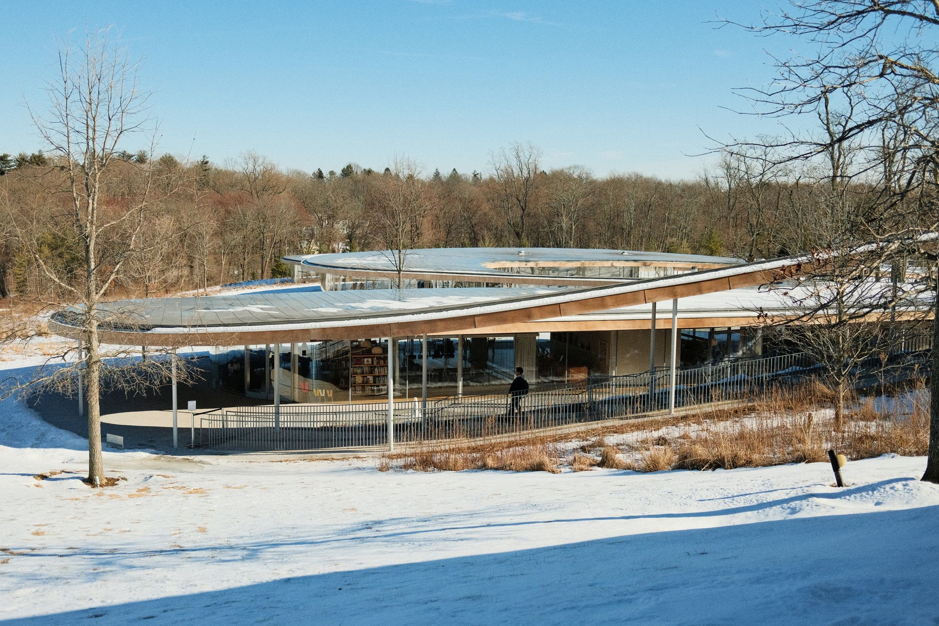 El latido frío de la duna: termorregulación y pedagogía verde en el Centro Ecológico de Evanston