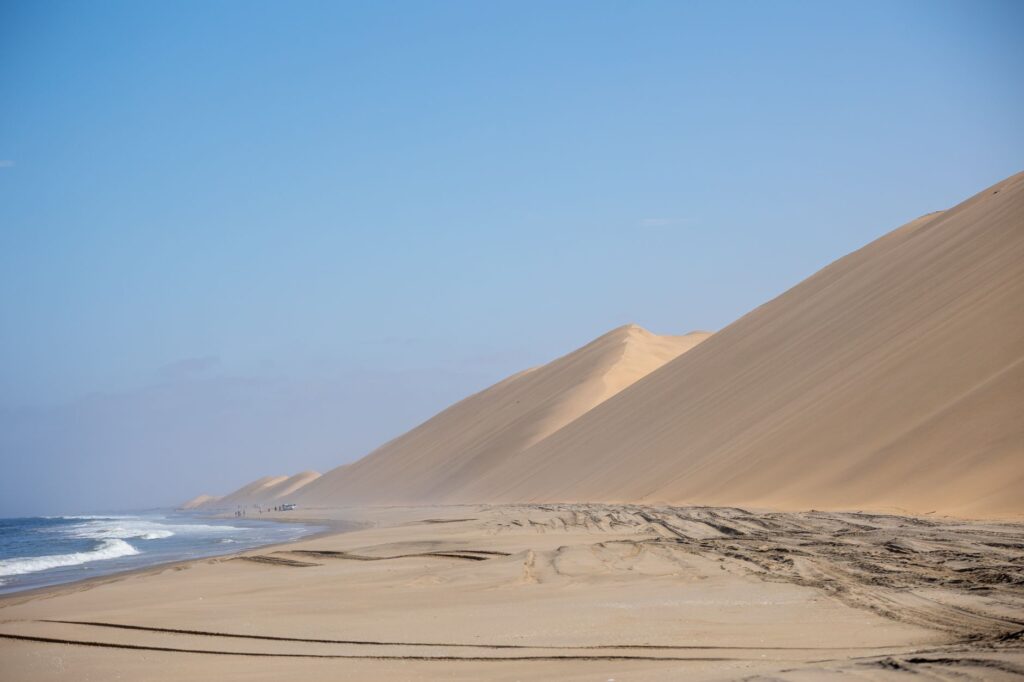 El Dominio de las Arenas Vivas: Geología, Endemismo y Conservación en el Desierto de Namib
