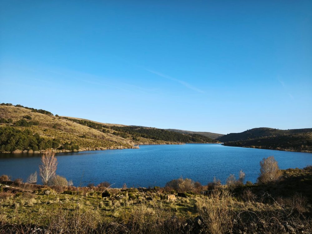 El refugio del lince pardina y los humedales del Bajo Tormes: ecología fluvial y conservación en las riberas castellanas