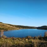 El refugio del lince pardina y los humedales del Bajo Tormes: ecología fluvial y conservación en las riberas castellanas