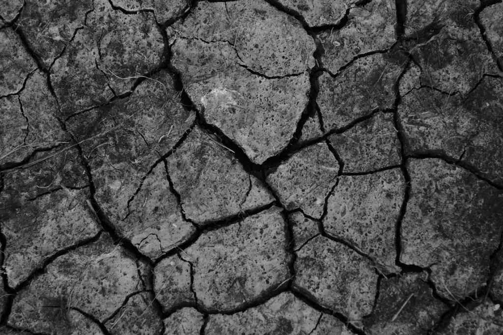 Diciembre en Estados Unidos: Geografía de la Sostenibilidad Invernal y Destinos Lejos del gentío