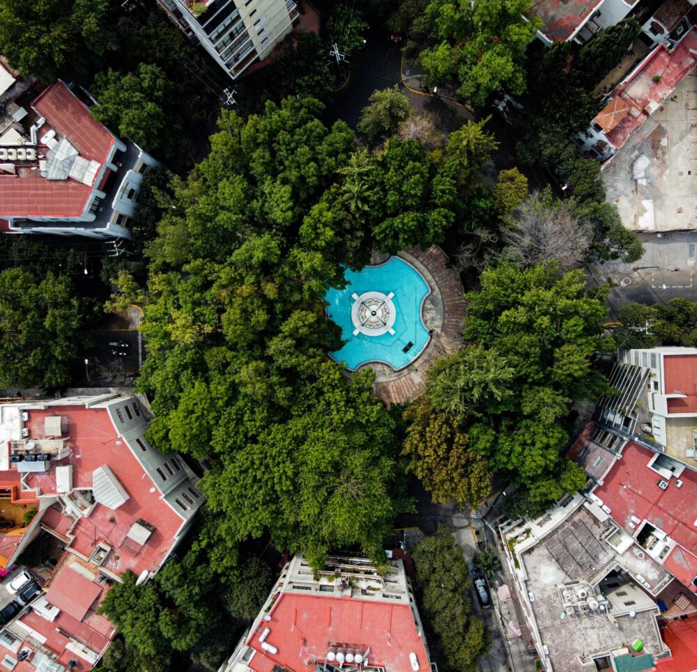 Friburgo: cuando el ecologismo se convierte en el arte invisible de habitar la ciudad