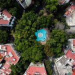 Friburgo: cuando el ecologismo se convierte en el arte invisible de habitar la ciudad