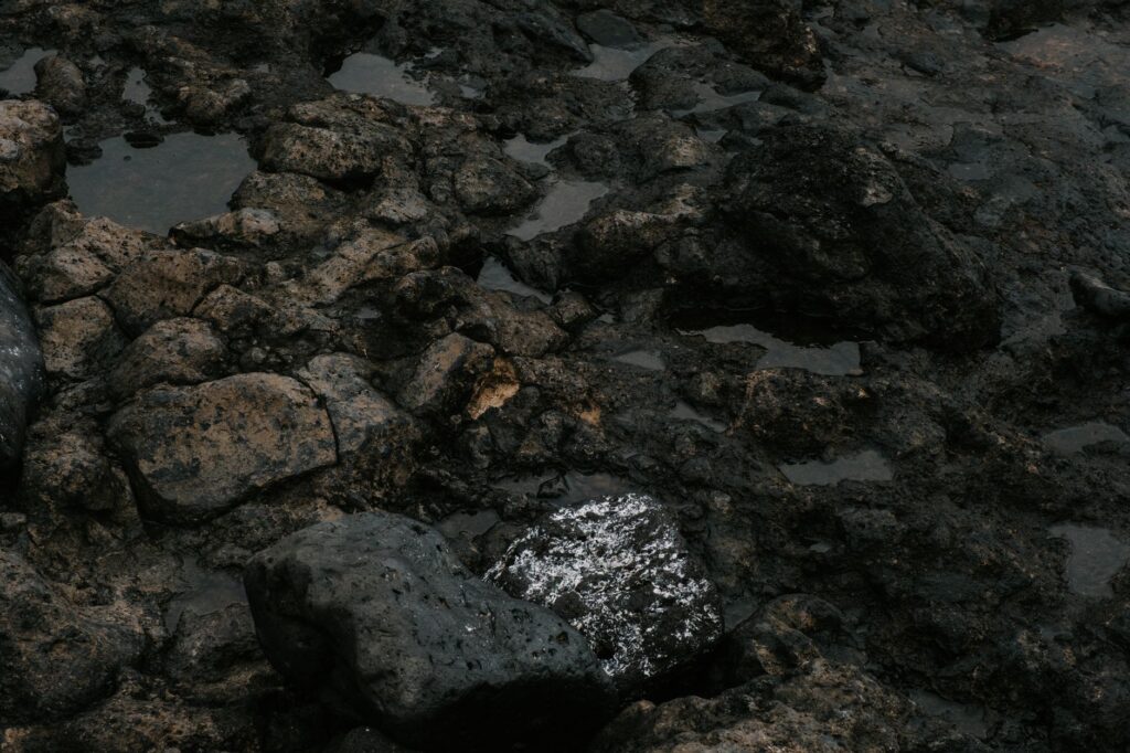La Travesía del Sendero de GR 131 en las Islas Canarias: Guía de Expedición y Senderismo por la Espina Volcánica del Atlántico