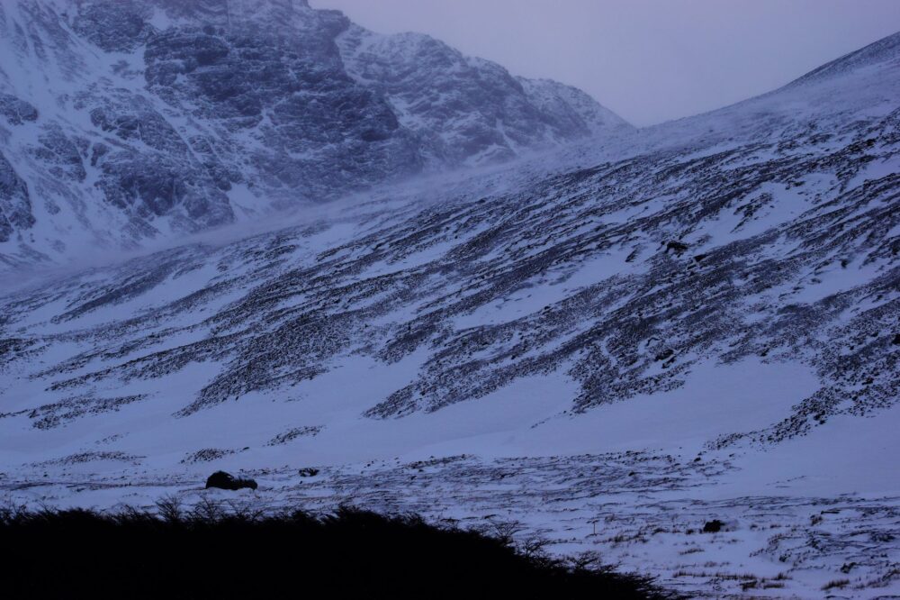 La Travesía del Sentero de West Highland en Escocia: Guía de Expedición y Senderismo por las Tierras Altas