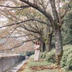 El silencio milenario de los caminos del té en Oolong: ingeniería de bancales y arquitectura de niebla en las montañas de Taiwán