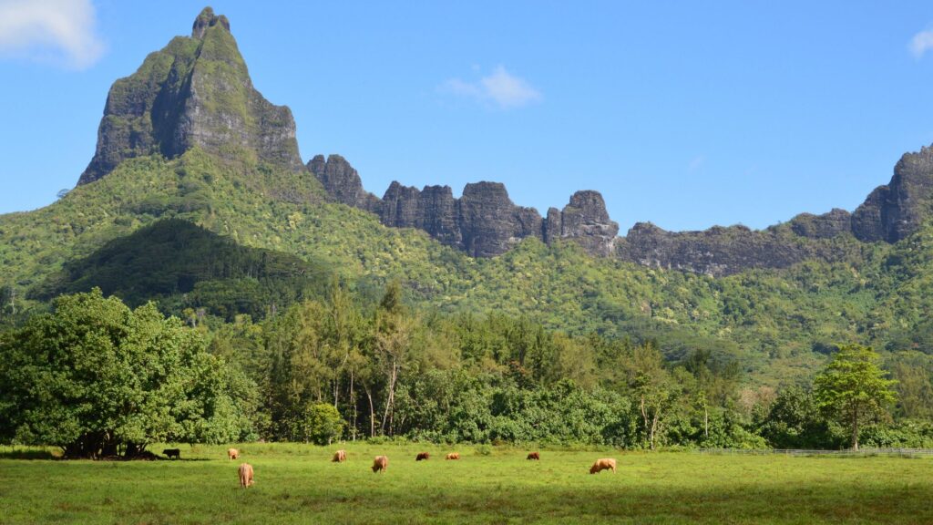 Rumbo a las Islas del Fin del Mundo: La logística del abastecimiento en el archipiélago de las Marquesas