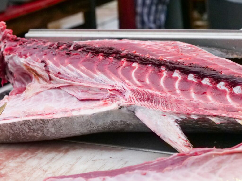 El secreto de la cal y el estero: la liturgia del Mercado Central de San Fernando y los tesoros de la Bahía