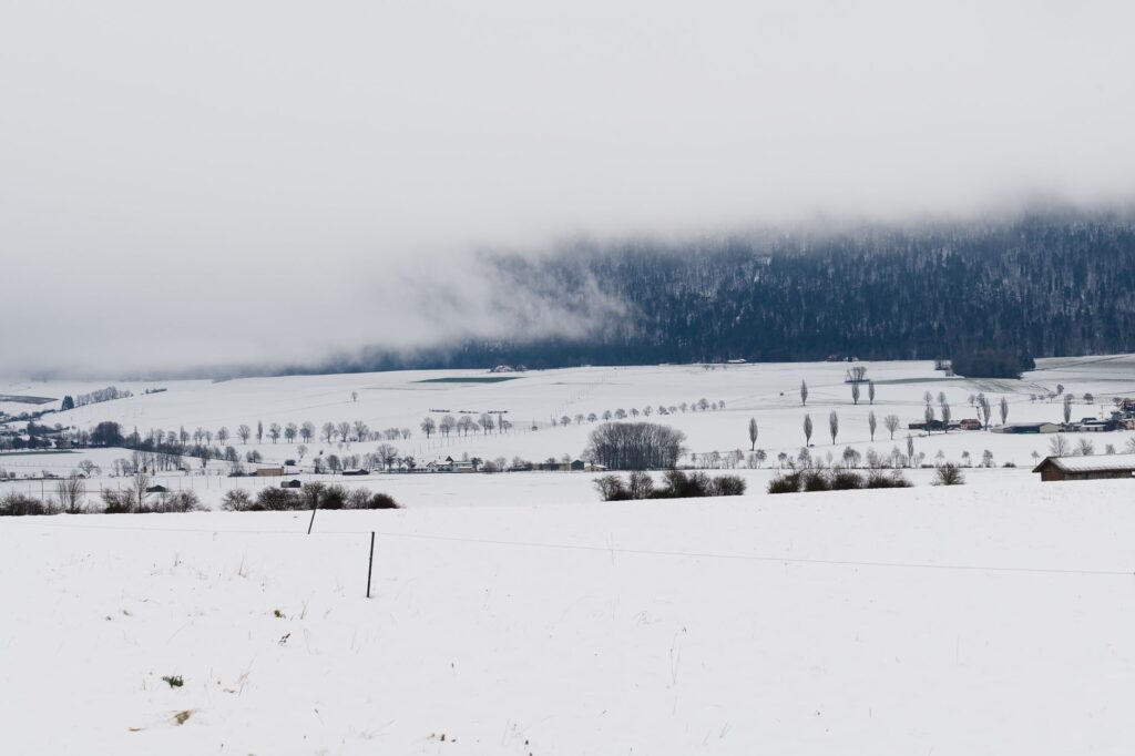 El Renacimiento de la Alta Relojería en el Valle de Joux: Precisión, Aislamiento y Diseño Contemporáneo