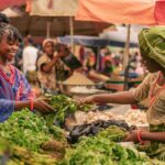 Sabores de Futuro: La Gastronomía como Motor de la Sostenibilidad en África