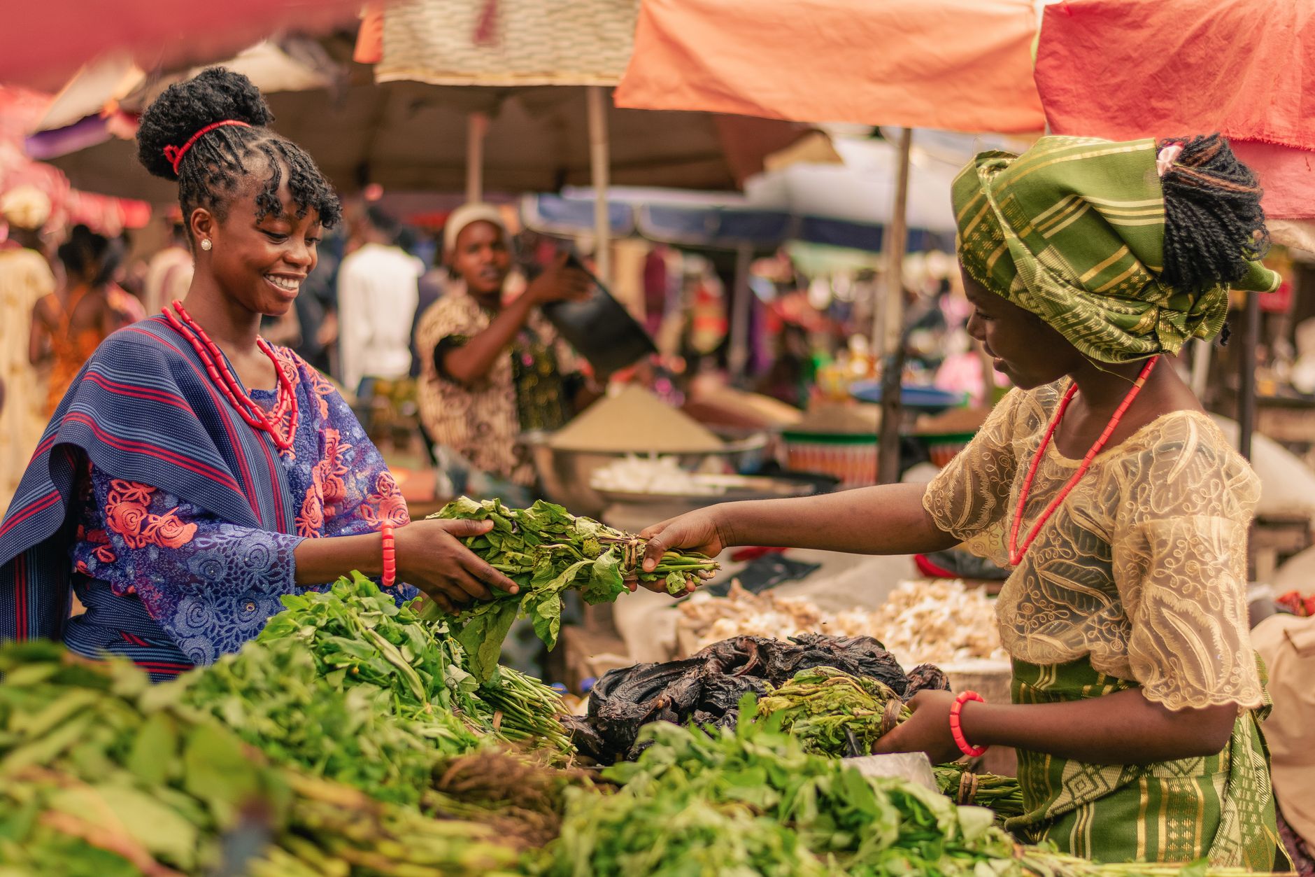 Sabores de Futuro: La Gastronomía como Motor de la Sostenibilidad en África