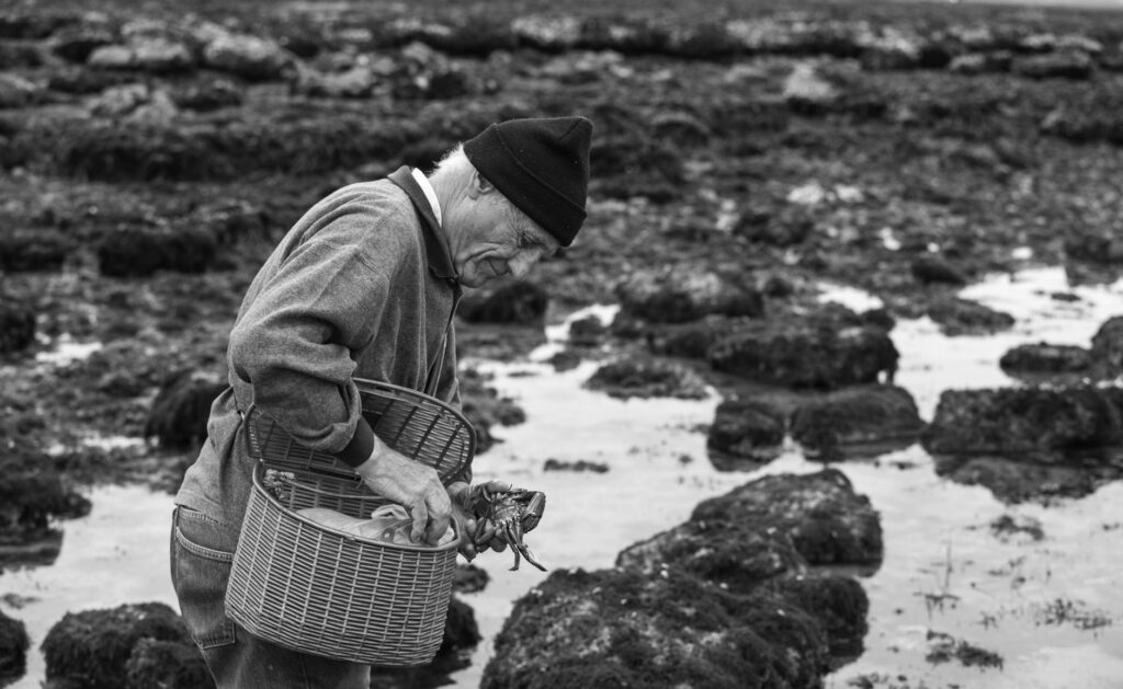 El secreto de la marea vertical: la cultura del percebe y la pesca extrema en los acantilados de la Costa Vicentina
