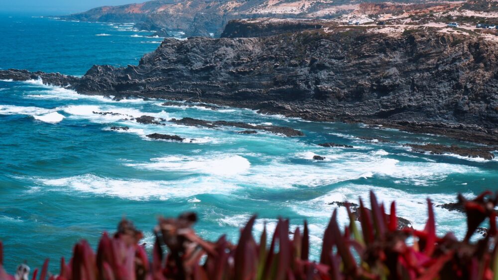 El secreto de la marea vertical: la cultura del percebe y la pesca extrema en los acantilados de la Costa Vicentina