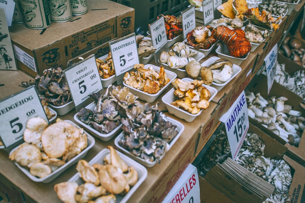 El menú de septiembre: la gastronomía y el viaje de transición entre el verano y el otoño en Europa