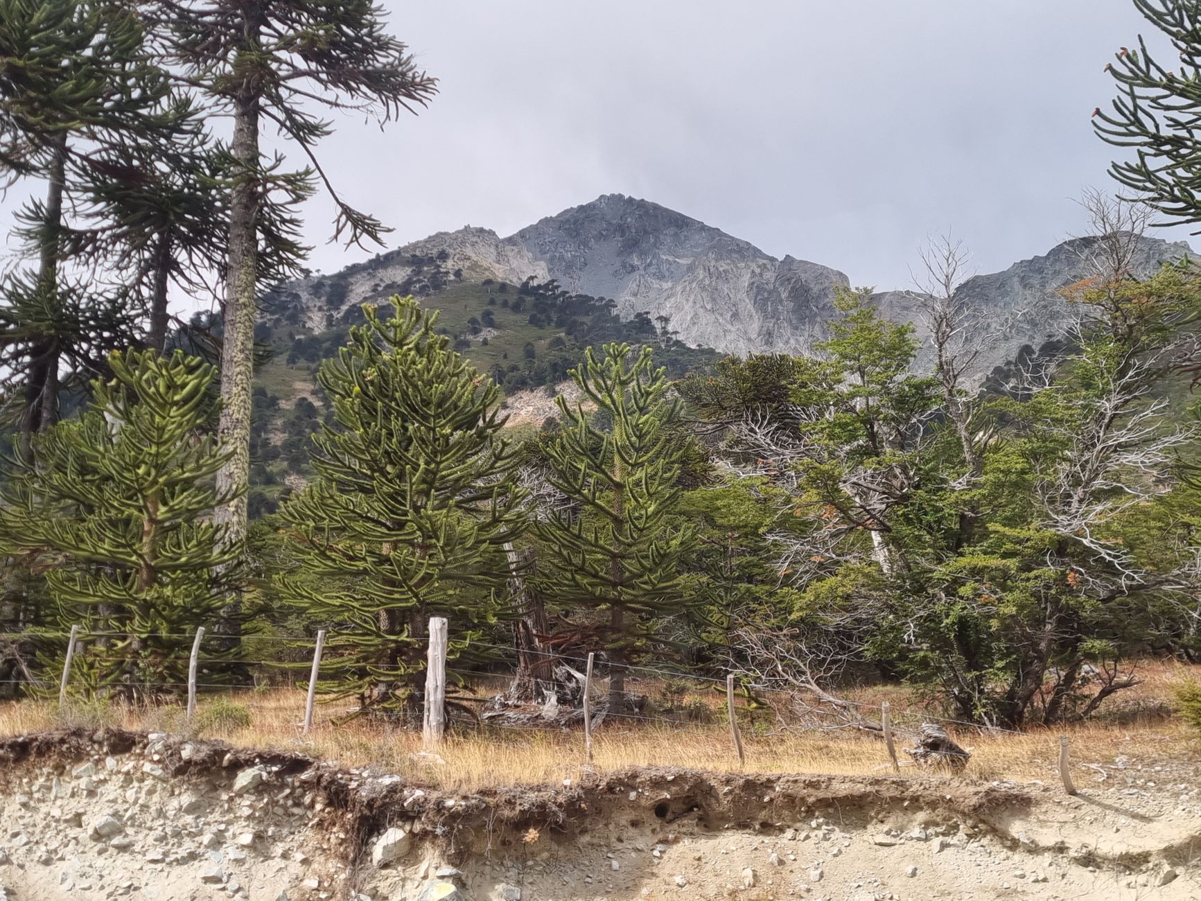 Expedition Chile: El puente digital que proyecta el turismo comunitario y de naturaleza hacia el escenario global