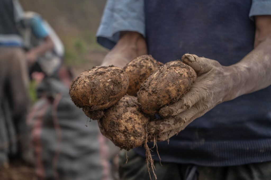 El latido de la huerta y el fuego: La cocina de territorio y el producto absoluto en los restaurantes de la Ribera de Navarra
