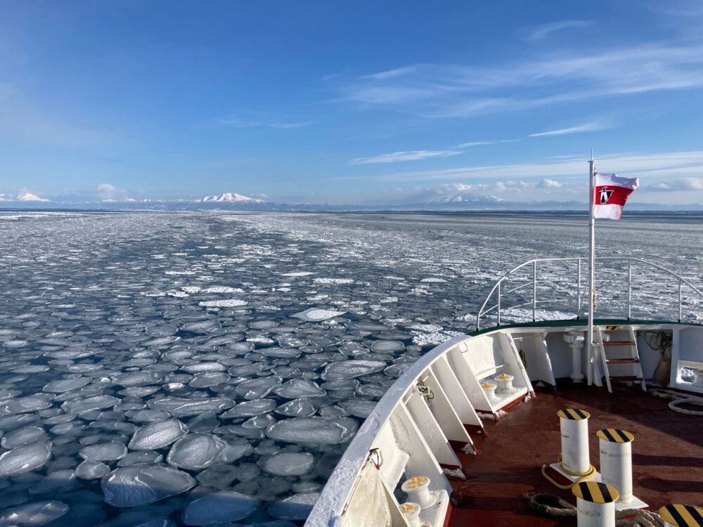 Expedición al Archipiélago de Svalbard: Guía de Navegación Polar y Exploración de Alta Latitud en el Océano Ártico