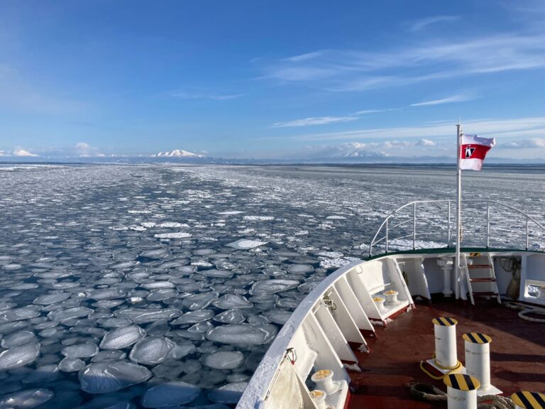 Expedición al Archipiélago de Svalbard: Guía de Navegación Polar y Exploración de Alta Latitud en el Océano Ártico