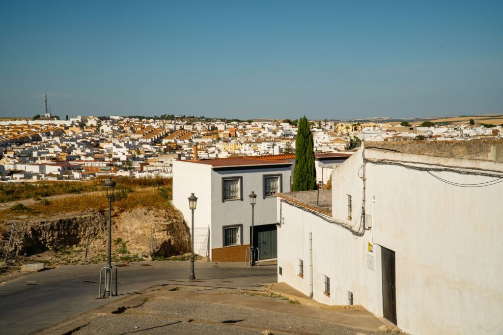 El latido de las marismas boreales: cómo la gestión hidráulica y la avifauna transforman la conservación en el Parque Nacional de Doñana