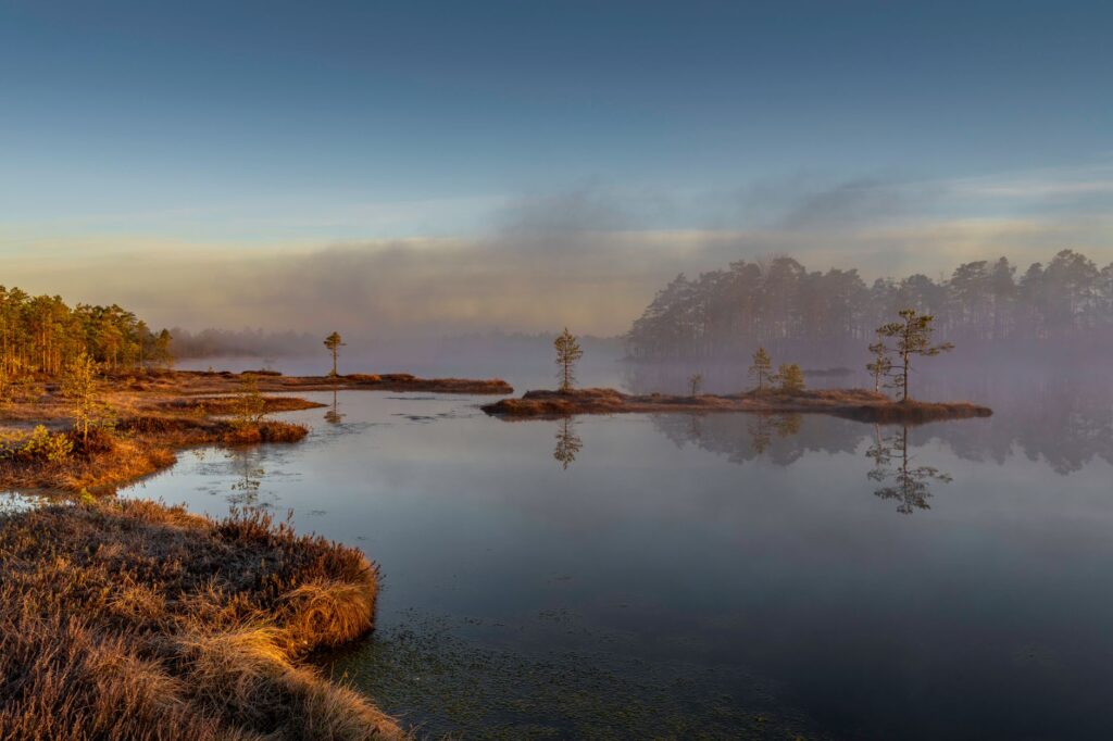 El laberinto de las turberas boreales: cómo la restauración hidrológica y los senderos de madera transforman la conservación en el Parque Nacional Oulanka