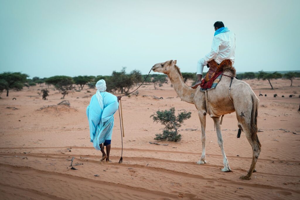 El pulso de hierro del Sáhara: La odisea logística y humana del Tren Minero de Mauritania