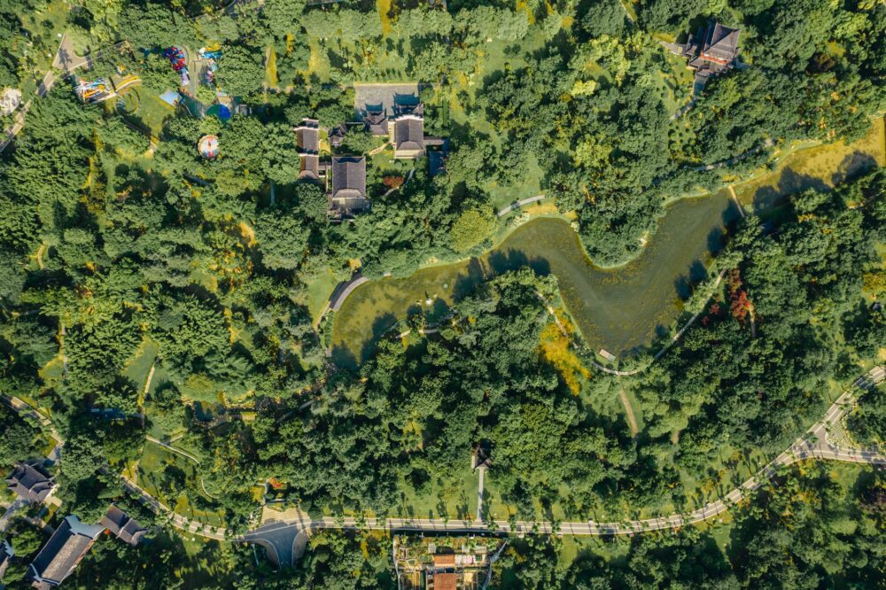 Wuhan despliega su pulso cultural otoñal con un programa de 279 eventos