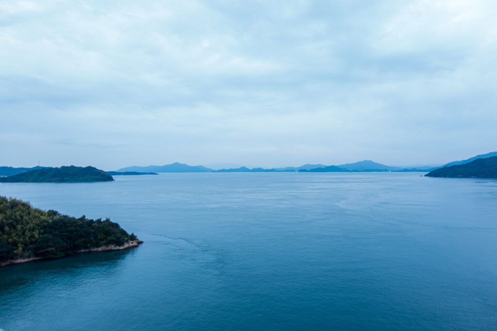 Bajo la Vía Láctea de Chiba: La inmersión nocturna que redefine el vínculo entre cetáceos y humanos en Kamogawa