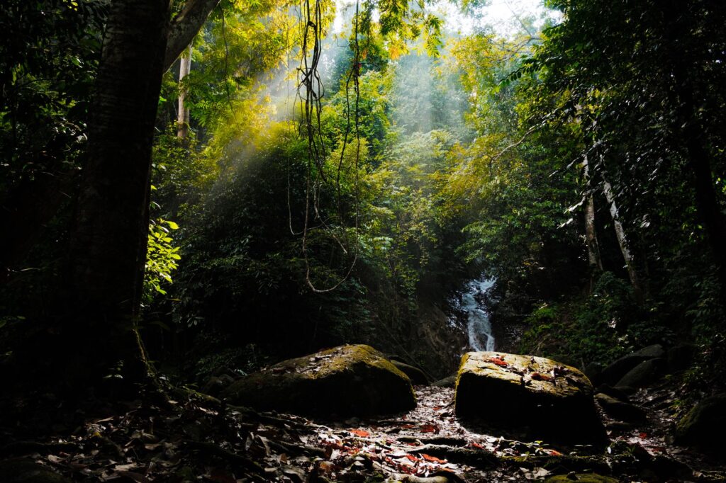 El latido verde de Dakoh: el nuevo horizonte ecoturístico en el corazón de Kelantan