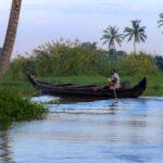 El silencio esmeralda de los backwaters de Kerala: navegación en kettuvallam y la ciencia del bienestar en la costa de Malabar