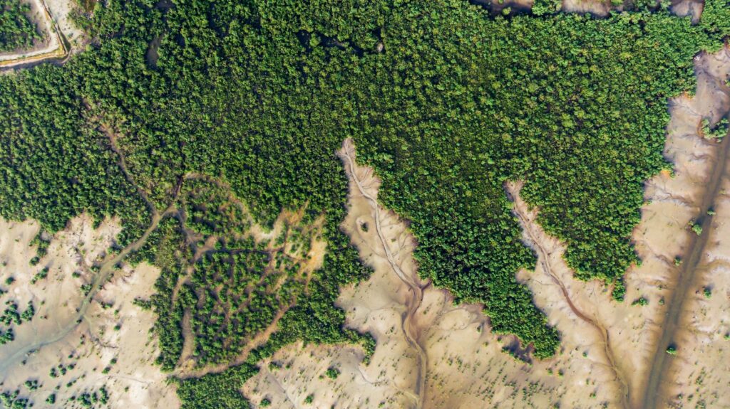 El laberinto intermodal del delta del Níger: piraguas de fibra, barcazas de cabotaje y la frágil conectividad acuática de un confín nigeriano