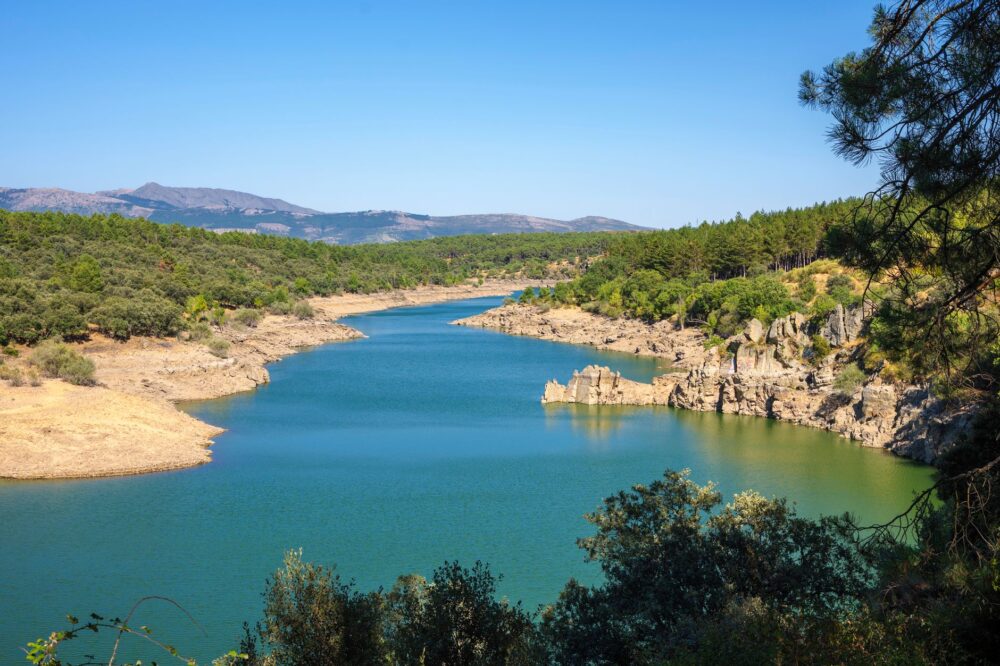 El latido del tren de la cuenca del Ródano: ingeniería fluvial y movilidad alpina en la Provenza y Suiza
