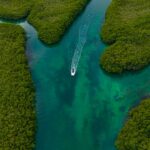 El laberinto intermodal de las islas de la Lealtad: Canales de coral, cabotaje de atolón y la frágil conectividad de Lifou y Maré