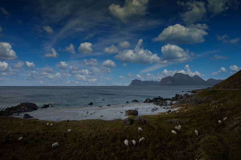 El laberinto de los fiordos árticos: cómo la navegación híbrida y los corredores multimodales transforman el transporte en las islas Lofoten