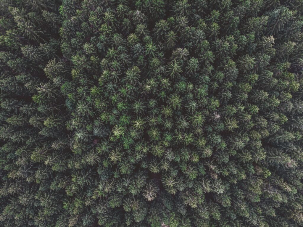 El laberinto de las penínsulas boreales: cómo la electrificación costera y las rutas náuticas lentas transforman el transporte en las islas Åland
